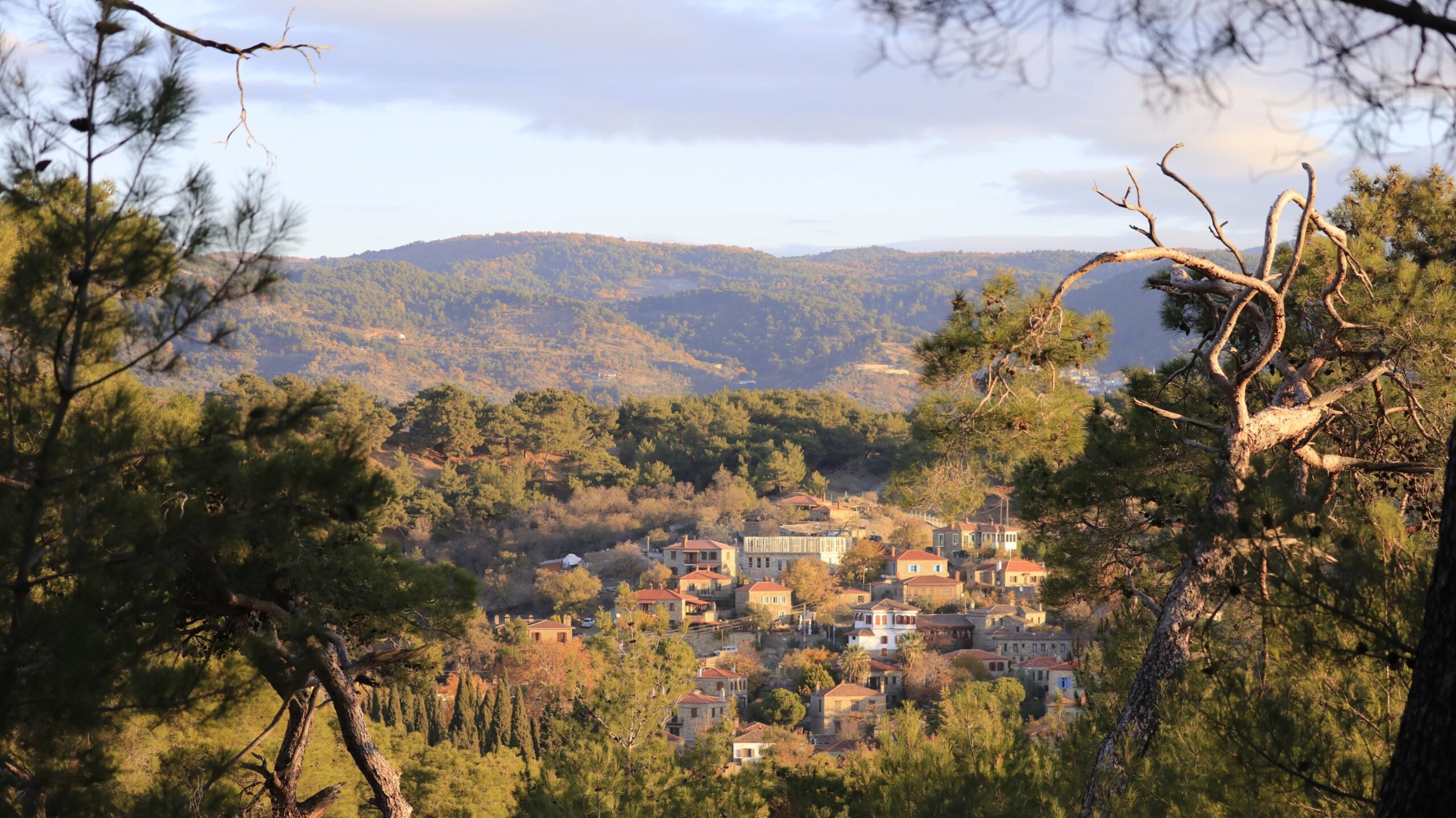 İda Blue Galeri, Adatepe’nin taş mimarisini, doğayla iç içe yaşamı ve otelin zamansız atmosferini yansıtan seçili kareleri bir araya getirir.