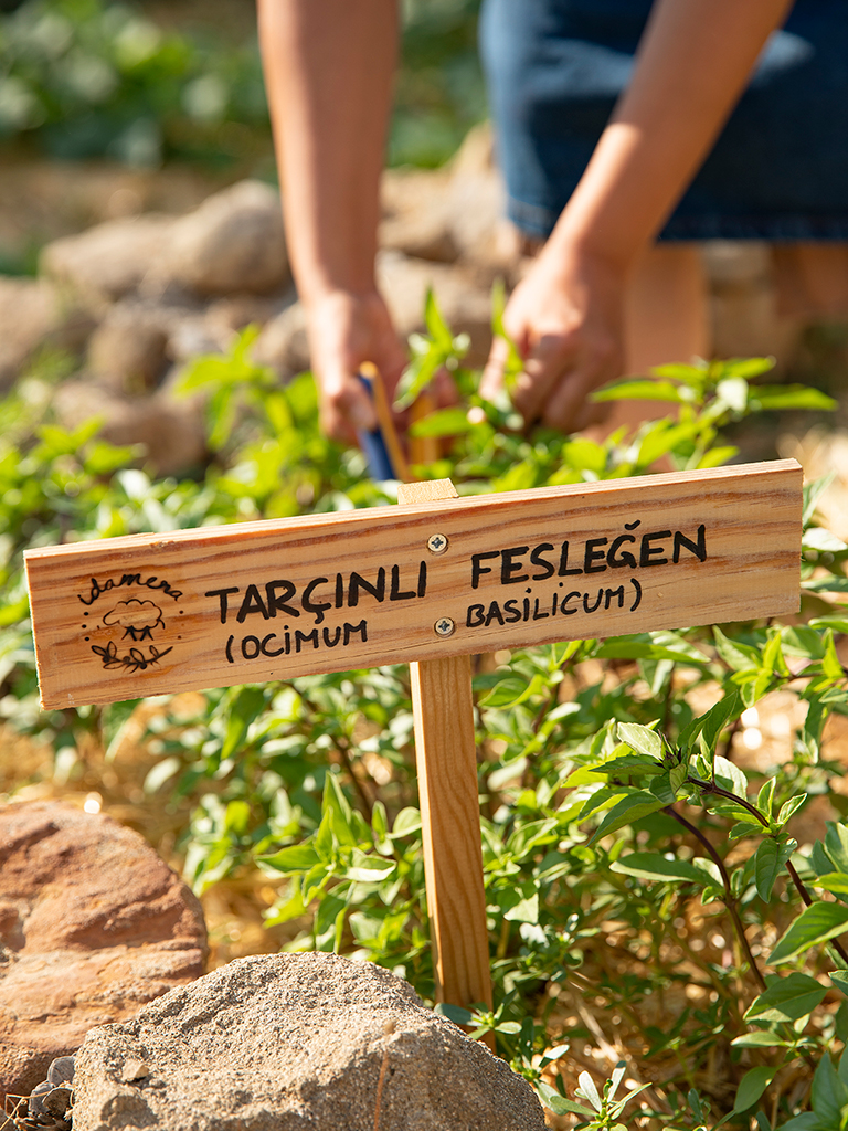 İda Blue’da gerçek lüks; sadelik, doğallık ve doğayla kurulan anlamlı bağlarda hayat bulur.