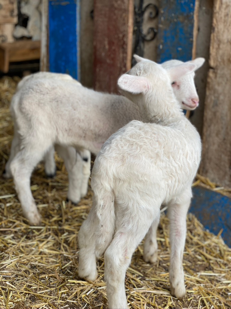 Yerel zanaatkârlar ve üreticilerle kurulan güçlü bağlar, İda Blue’nun sürdürülebilir topluluk anlayışını yansıtır.