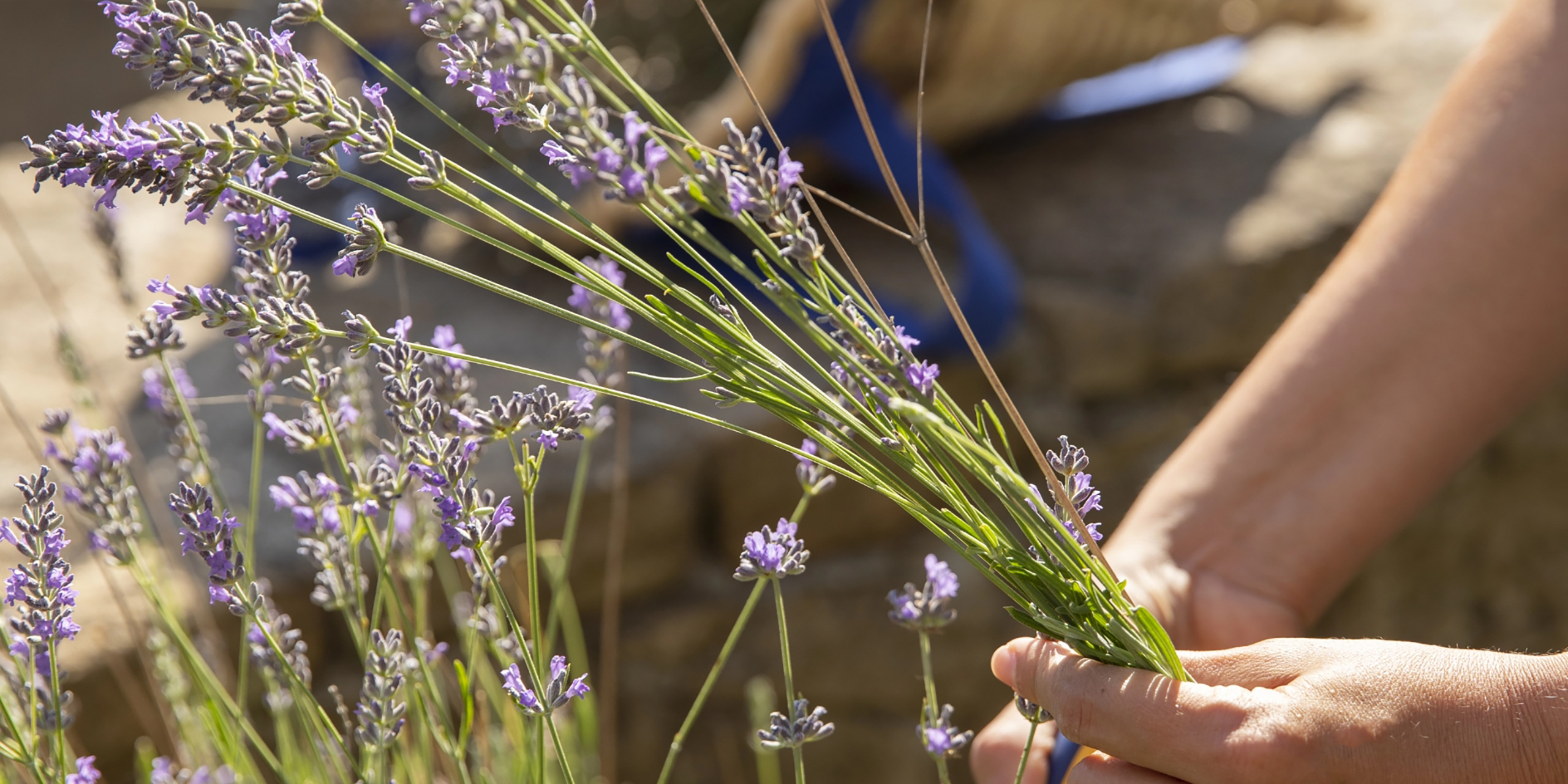 İda Blue, doğaya, insana ve kültürel mirasa saygıyı merkezine alan sürdürülebilir bir yaşam felsefesi sunar.