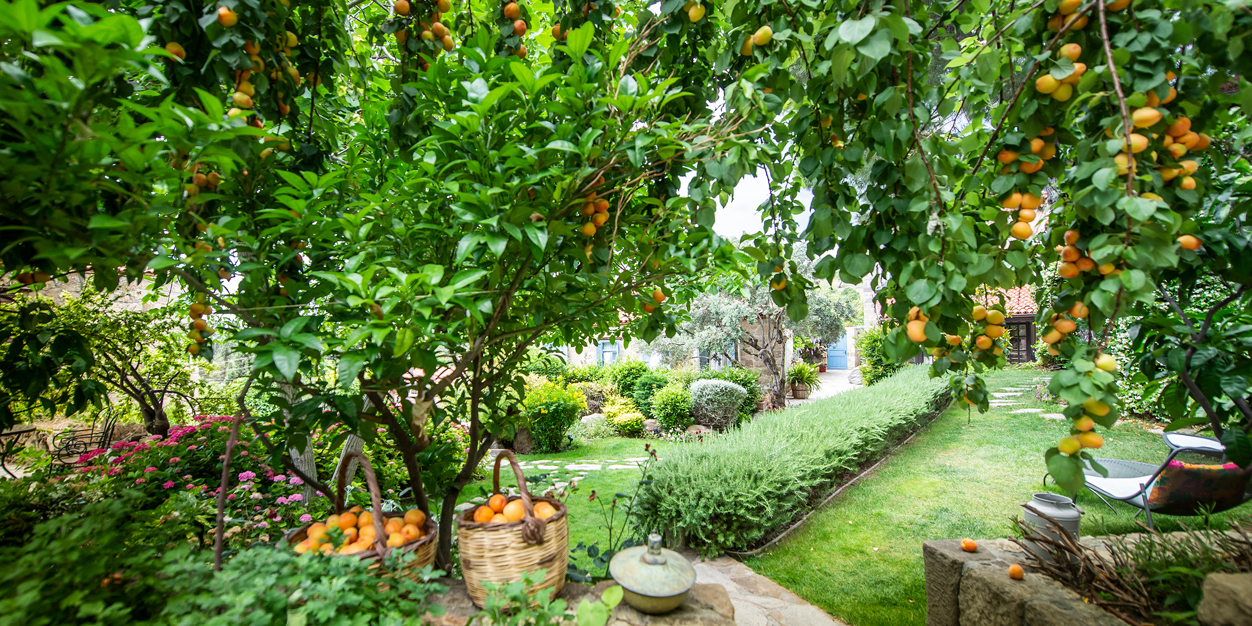 İda Blue’da Şefle Yörük Pazarı ve Yemek Atölyesi deneyimi ile Kazdağları’nın taze otlarını, yerel lezzetlerini ve Ege mutfağının renklerini keşfedin.