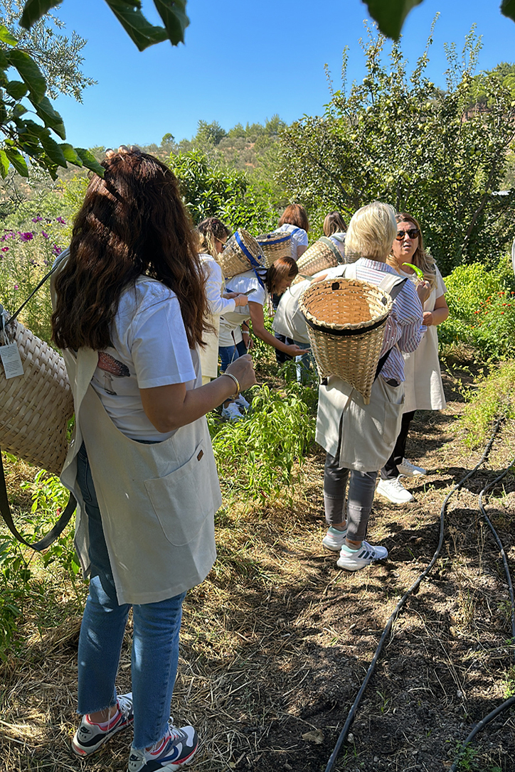 İda Blue ile Kuzey Ege’nin bereketli topraklarını keşfedin, ekolojik çiftliklerden butik şarap üreticilerine uzanan lezzet dolu bir gastronomi rotası deneyimleyin.