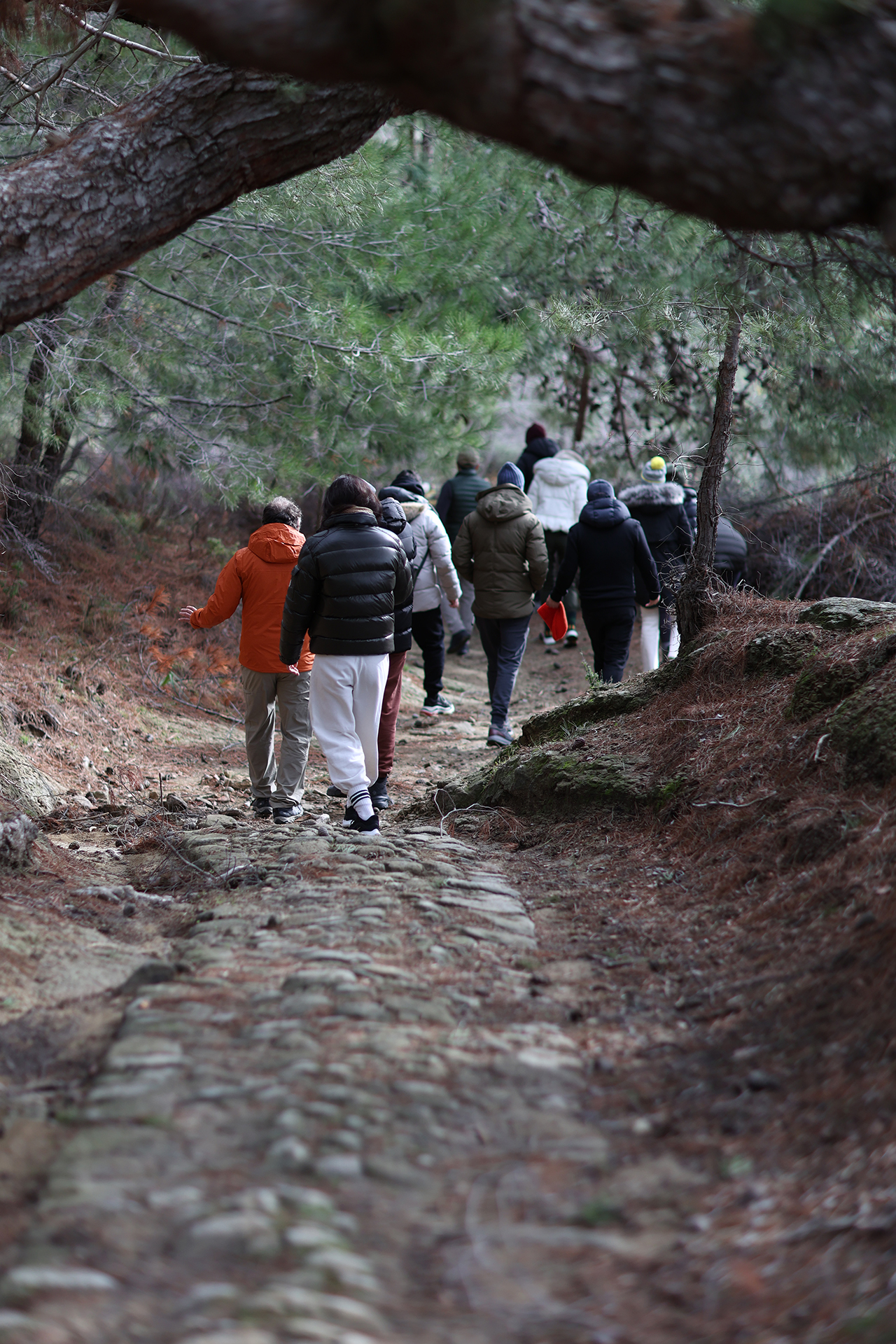 İda Blue’nun Trekking Turlarıyla Kazdağları’nın antik patikalarında doğa, tarih ve mitolojiyle iç içe yürüyüş deneyimi yaşayın.